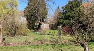 Gut geschnittenes Grundstück in bester Wohnlage am Rande der Innenstadt der Kurstadt Bad Liebenwerda