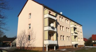 Helle sanierte 4-Raum-Wohnung